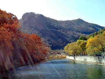 管家婆黑白马报图库，yy论坛